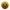 Traxtorm Premium Basket Ball - Yellow - Limited to 25 pieces
